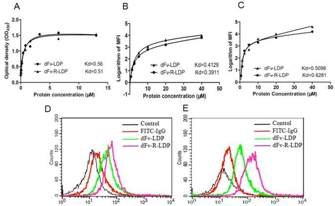 J Cancer Image