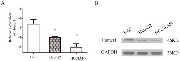 J Cancer Image