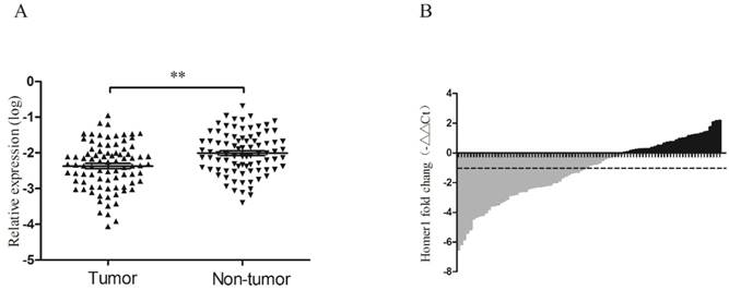 J Cancer Image