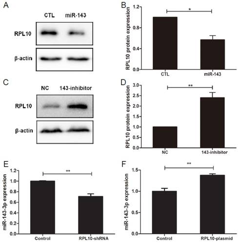 J Cancer Image