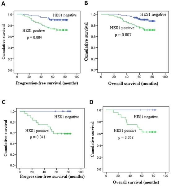 J Cancer Image