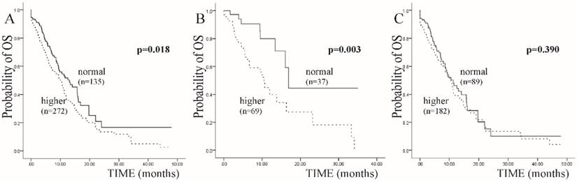 J Cancer Image