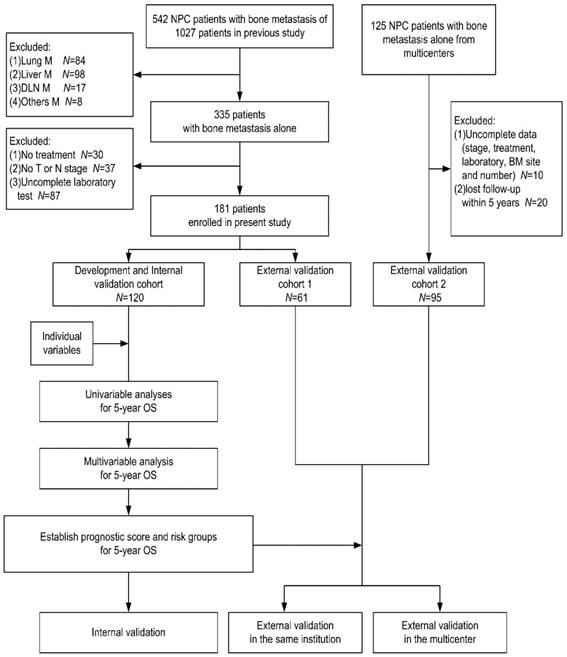 J Cancer Image