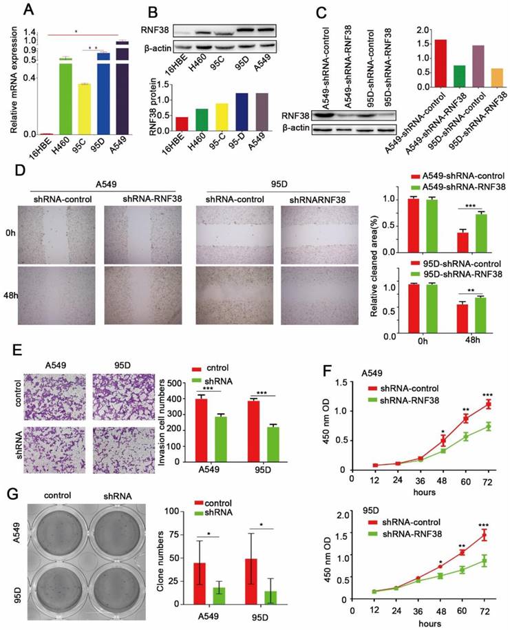 J Cancer Image