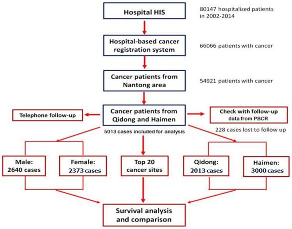 J Cancer Image