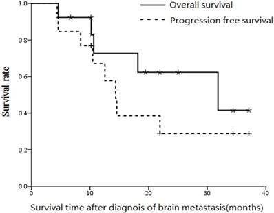 J Cancer Image