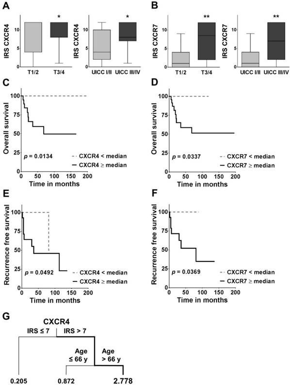 J Cancer Image