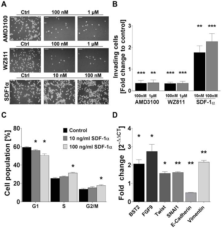 J Cancer Image