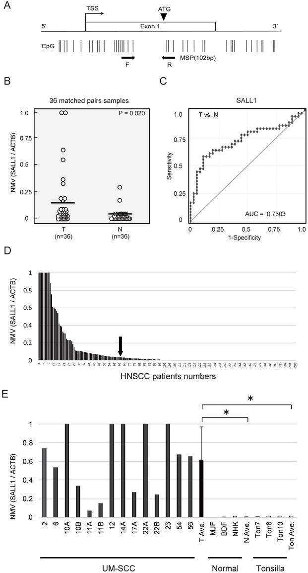 J Cancer Image