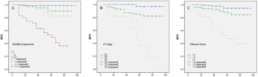 J Cancer Image