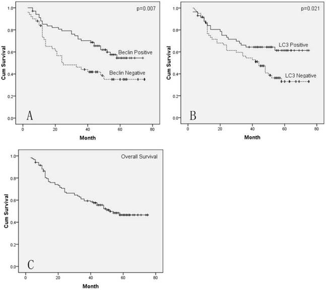 J Cancer Image