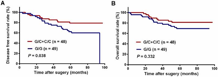 J Cancer Image