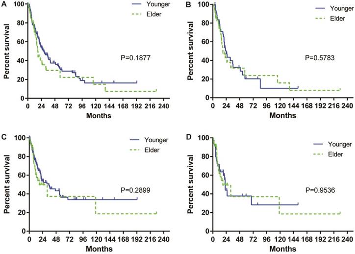 J Cancer Image