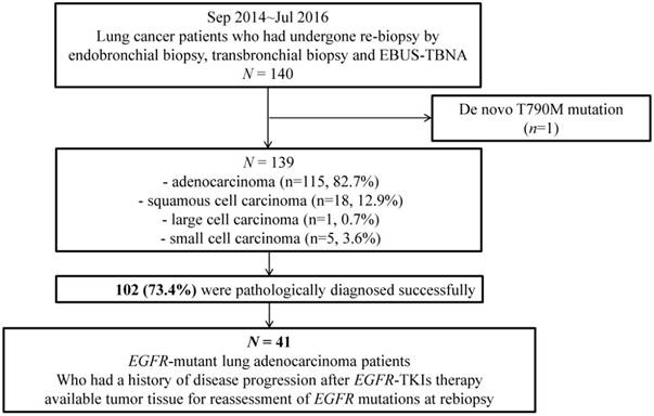 J Cancer Image