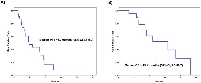 J Cancer Image