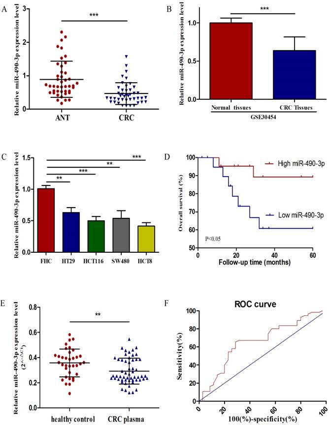 J Cancer Image