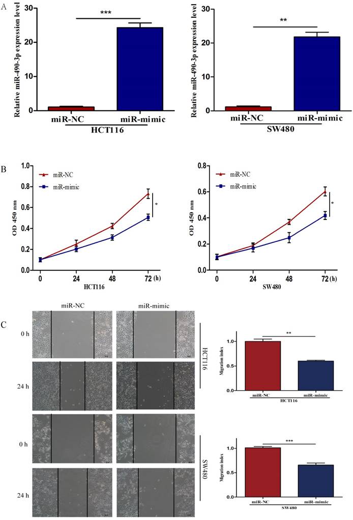 J Cancer Image