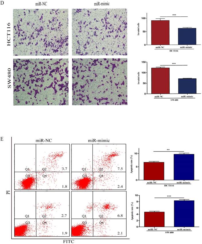 J Cancer Image