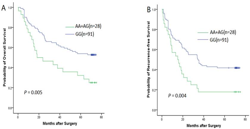 J Cancer Image