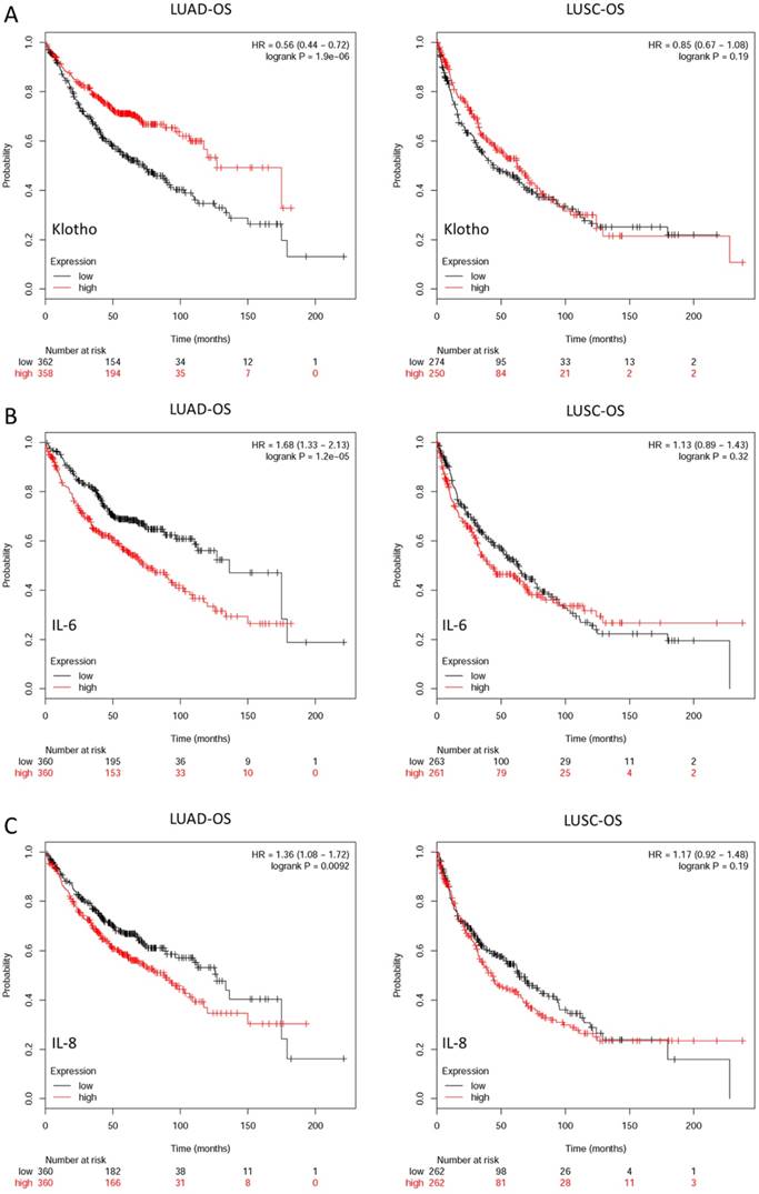 J Cancer Image