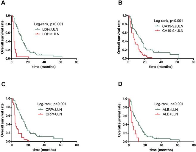 J Cancer Image