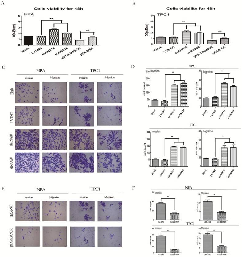 J Cancer Image