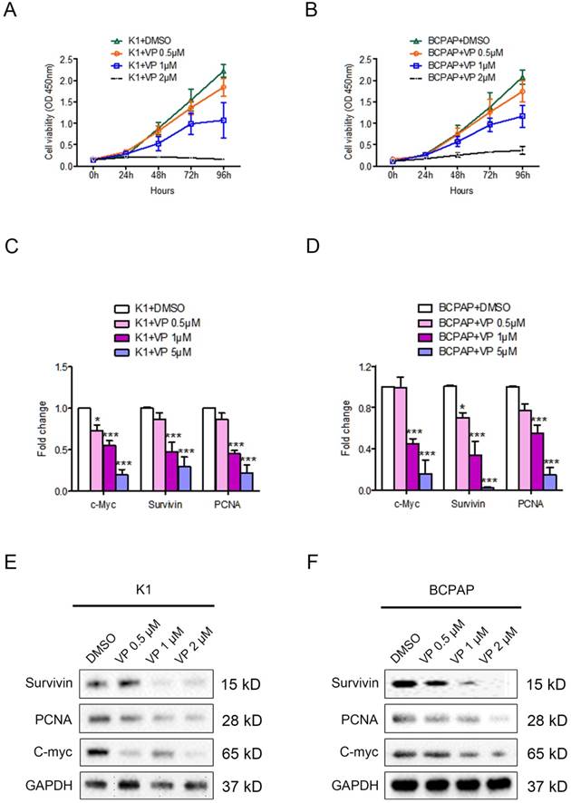 J Cancer Image