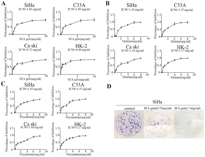 J Cancer Image