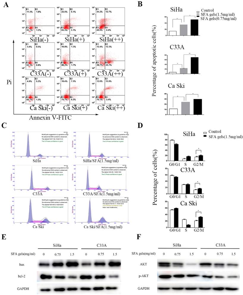 J Cancer Image