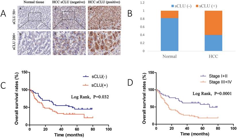 J Cancer Image