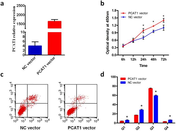 J Cancer Image