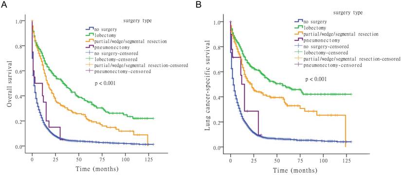 J Cancer Image