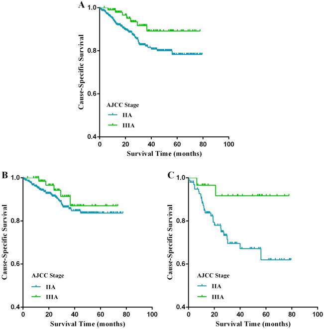 J Cancer Image