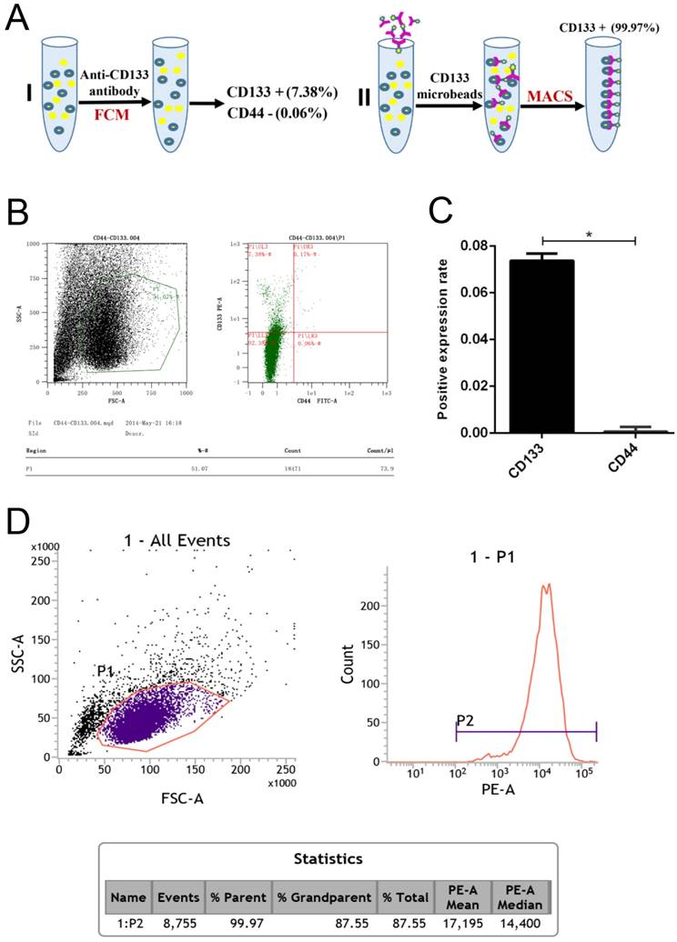 J Cancer Image