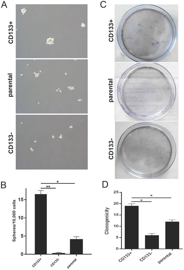 J Cancer Image