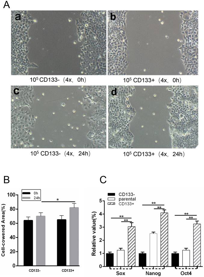 J Cancer Image