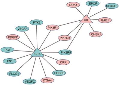 J Cancer Image