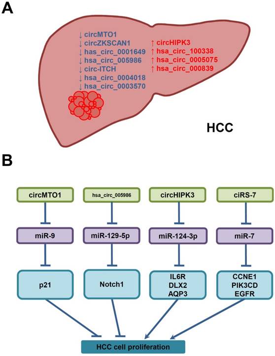 J Cancer Image