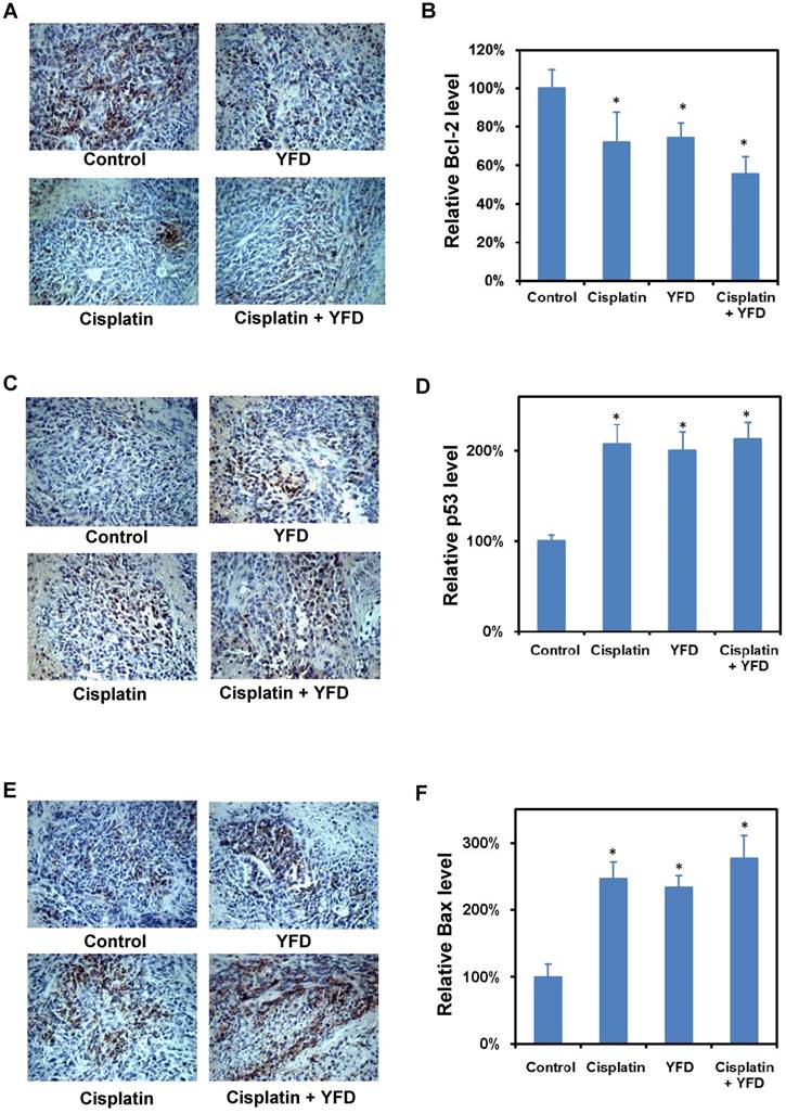 J Cancer Image