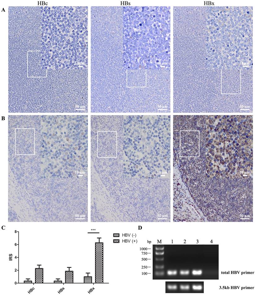 J Cancer Image