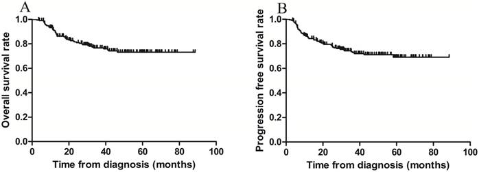 J Cancer Image