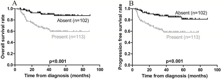 J Cancer Image