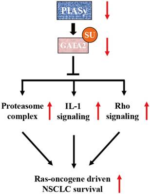 J Cancer Image