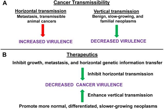 J Cancer Image