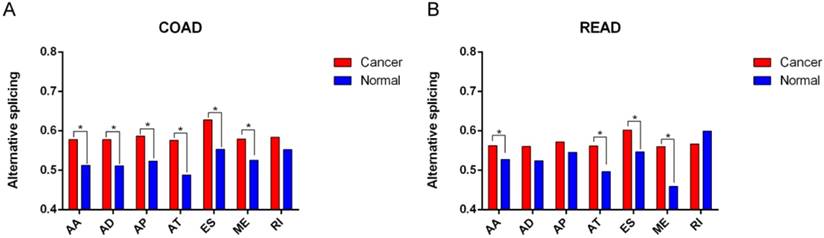 J Cancer Image