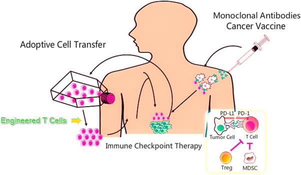 J Cancer Image