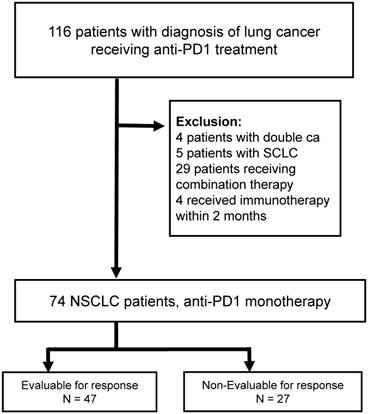 J Cancer Image