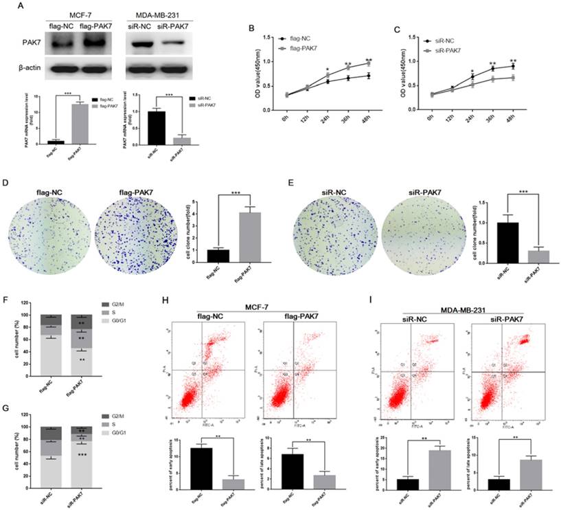 J Cancer Image