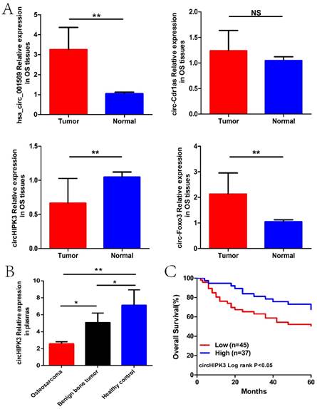 J Cancer Image