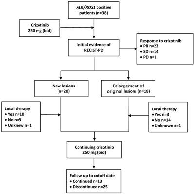 J Cancer Image